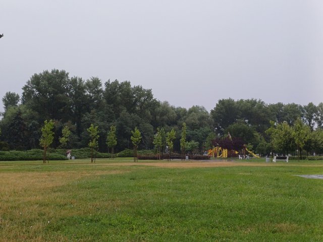 20250730_074940.jpg