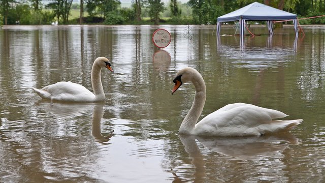 8959250394-flooding-werra (FILEminimizer).jpg