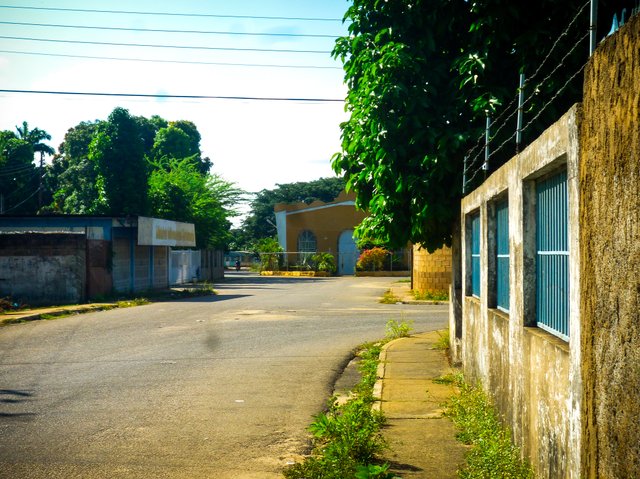 P1330277.jpg