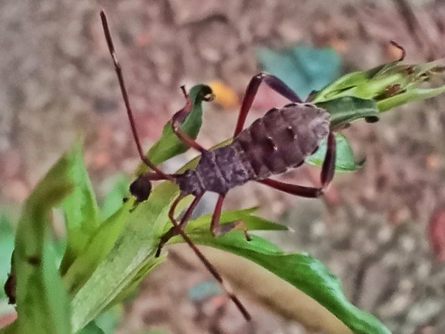 IMG_20250727_040126.jpg