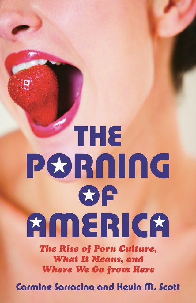 The-Porning-of-America-The-Rise-of-Porn-Culture-What-It-Means-and-Where-We-Go-from-Here.jpg