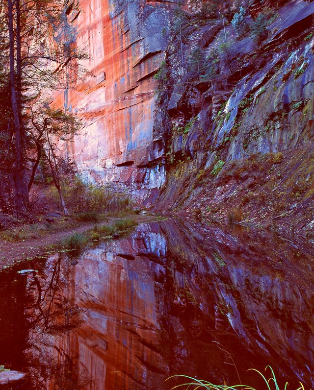 west fork reflections 8x10.jpg