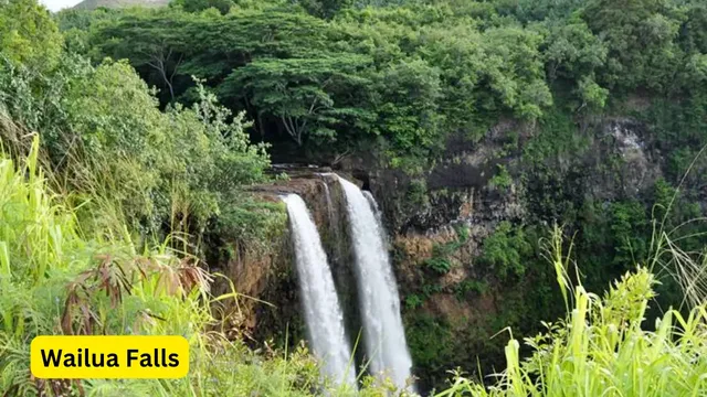 Waimea Canyon State Park (3).webp