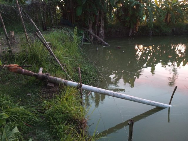 IMG-20240825-WA0002.jpg