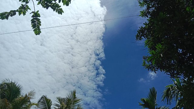 IMG_20250926_073736_300.jpg
