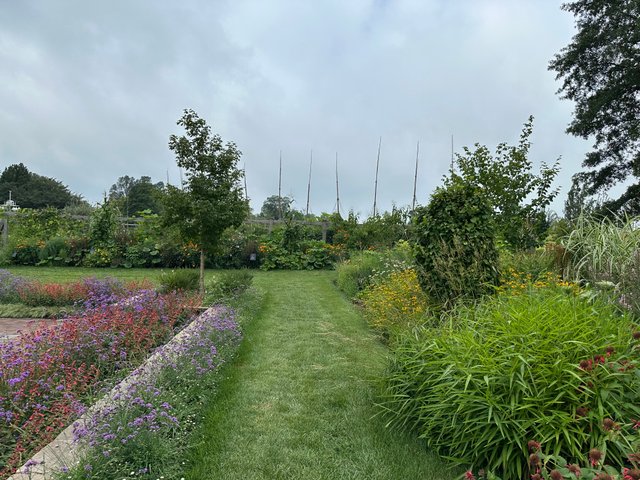 IMG_5478.jpeg