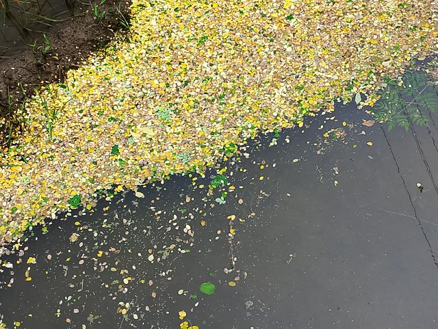 1000047634.jpg