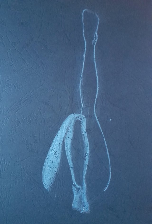 20250429_093543.jpg