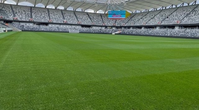 Bankwest stadium with Apple ryegrass.jpg