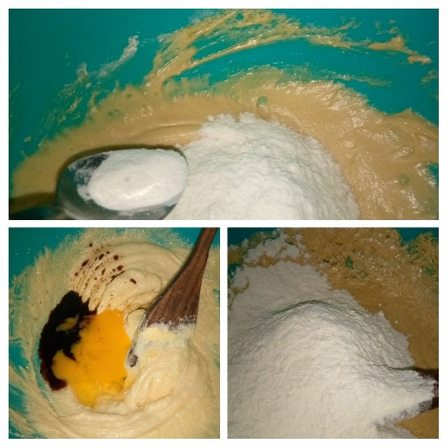 IMG_20250816_081637-COLLAGE.jpg