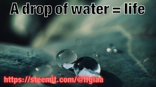 A dGGrop of water = life.png