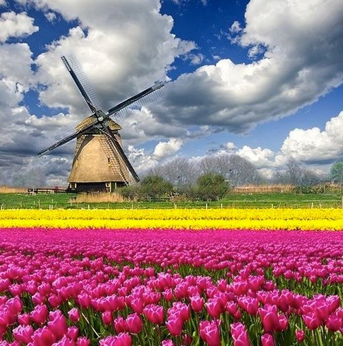 Os moinhos de vento mais icônicos na HOlland — Steemit