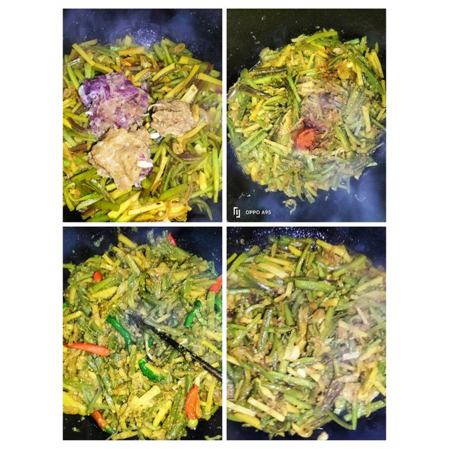 PhotoCollage_1746188987241.jpg