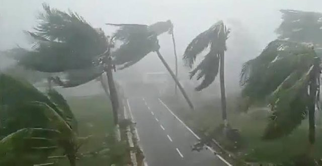 Trees_under_heavy_wind_in_Odisha_during_cyclone_Fani.jpg