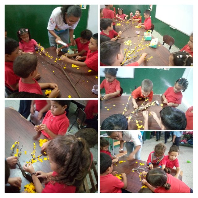 IMG_20250607_225723-COLLAGE.jpg