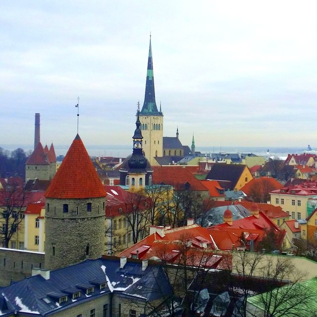 Tallinn 1 (1).jpg