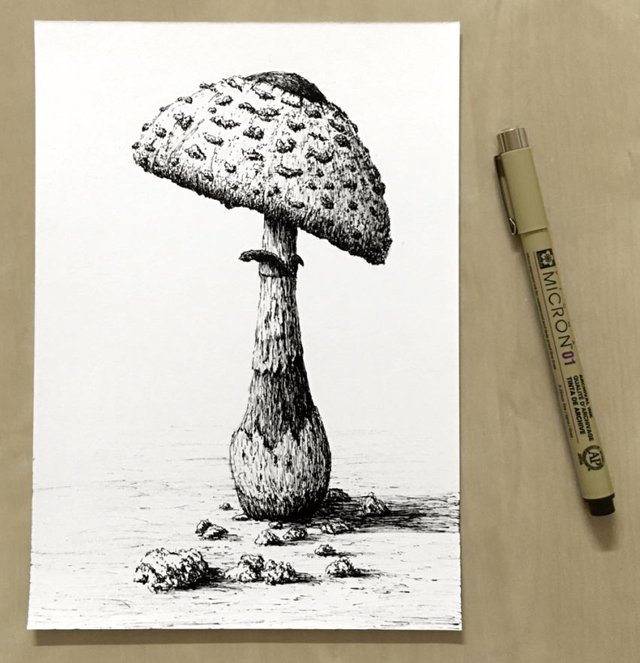 mushroom-pen-drawing.jpg