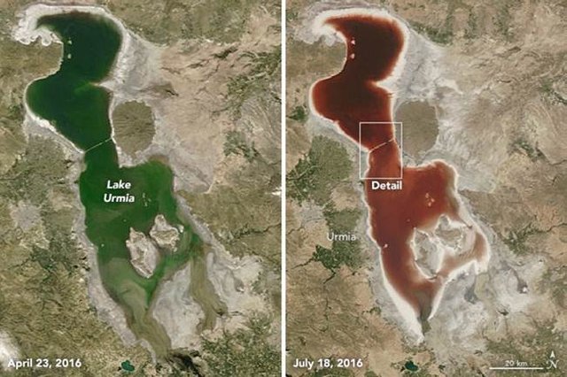 Lake Urmia 4.jpg