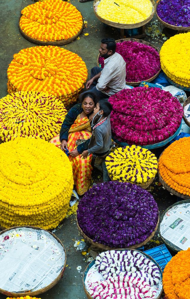 free-photo-of-father-mother-and-son-sitting-among-colorful-flowers-in-village.jpeg
