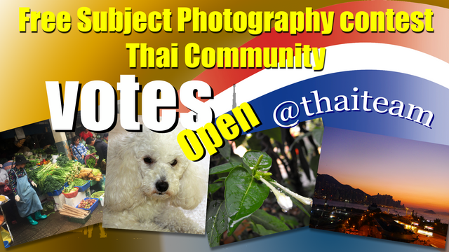 Free Subject Photography votes.png