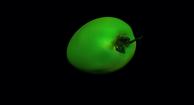 tomate.5.png