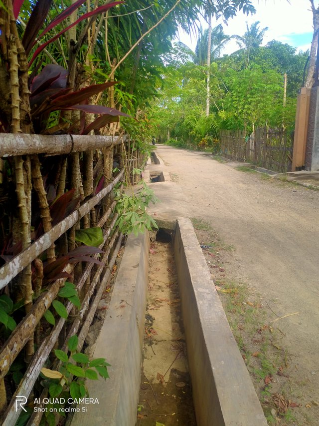 IMG20211007154729.jpg