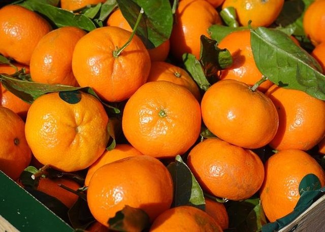 Mandarina.jpg