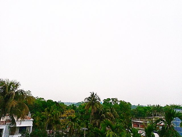B612_20220405_204352_353.jpg