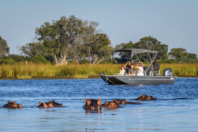 Famous Okavango Delta The Top Adventures in Botswana.jpg