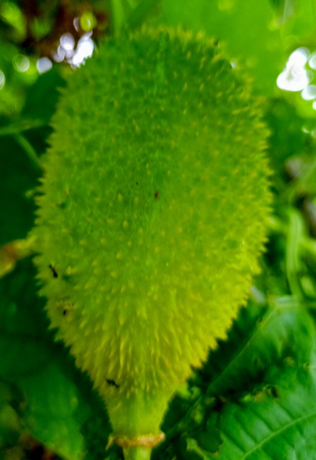 IMG20250625172249.jpg