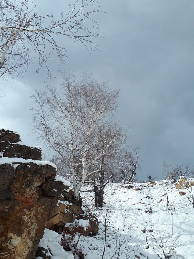 20190213_130337.jpg