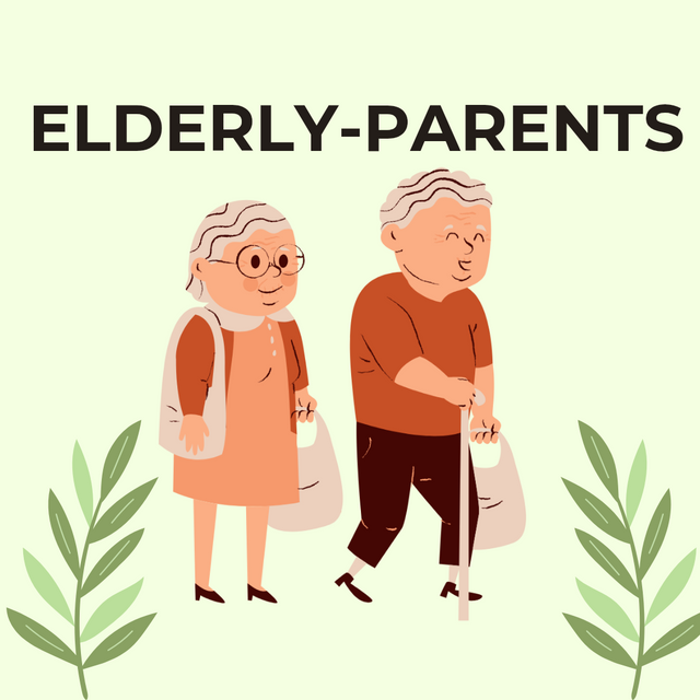 Green and Orange World Elderly Day Social Media Post_20250531_225528_0000.png