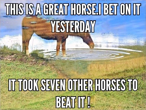This is a great horse meme 2.jpg