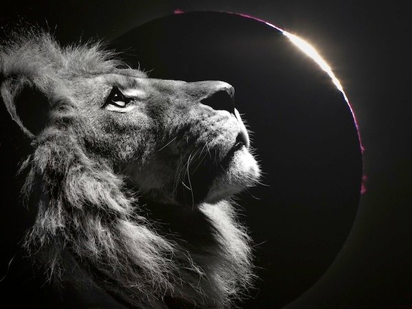 Leo solar eclipse.jpg