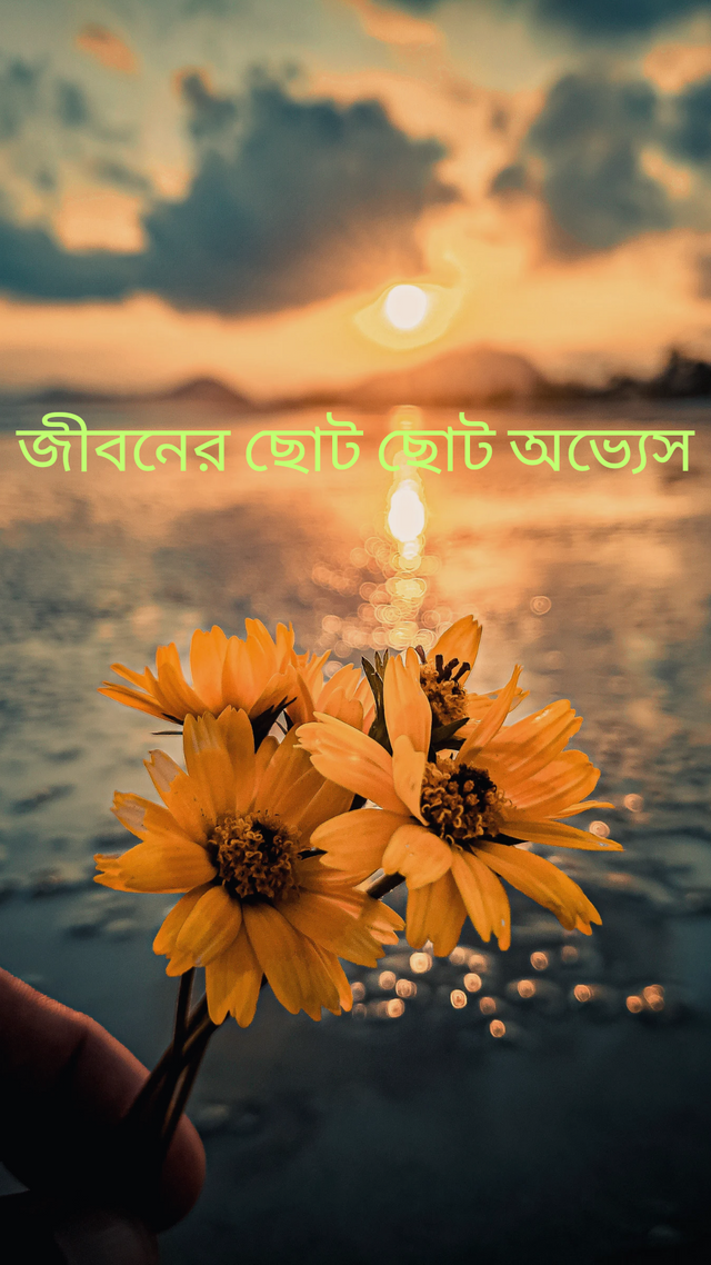  Yellow Quote Sea Inspiration Sunset And Flowers Nature Phone Wallpaper _20250117_213729_0000.png