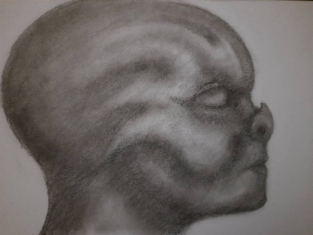 20250727_094628.jpg
