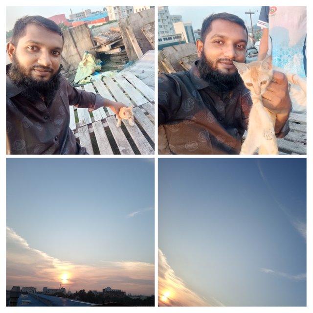 20250817_131251-COLLAGE.jpg