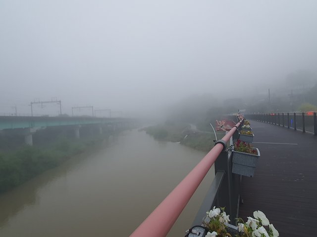 20250517_052119.jpg