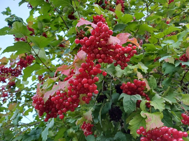 20250920_175753.jpg