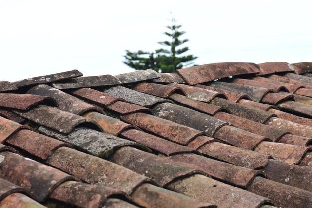 Repairing Shingles Sydney