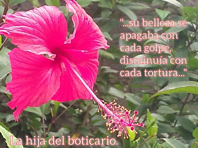 FotoGrid_20250811_162730465.jpg