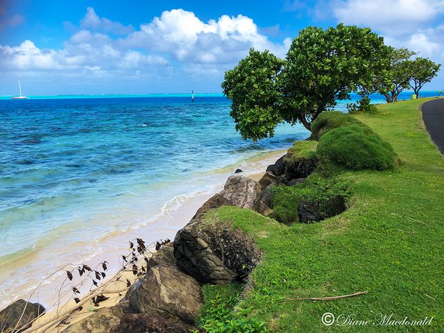 avea bay-2 huahine.jpg