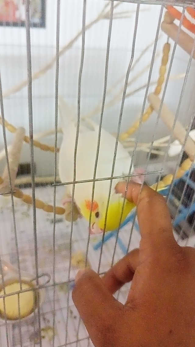 IMG20250610134506.jpg