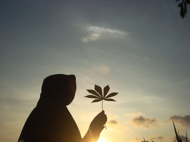 silhouette-2696226_1280.jpg