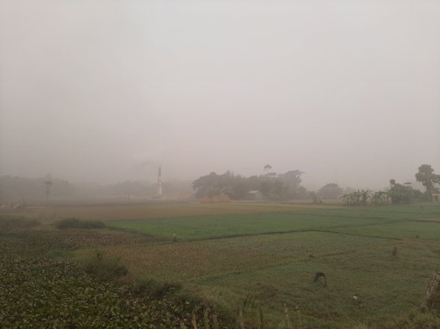 20221230_092127.jpg
