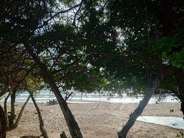 IMG_20250506_071620_449.jpg