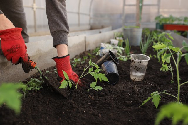 greenhouse-gbd81197c0_1920.jpg