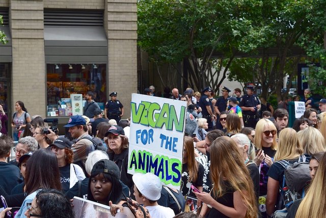 protest-vegan.jpg