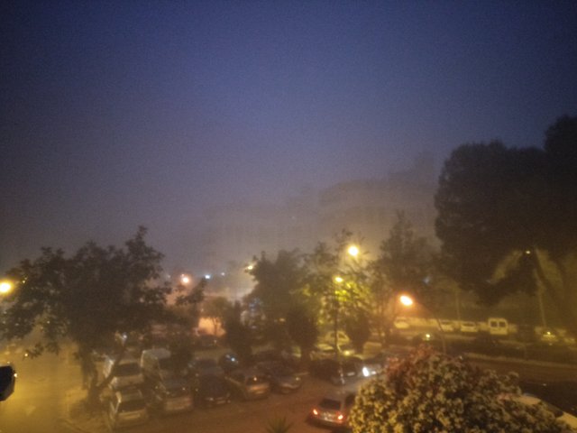 Fog 3.jpg