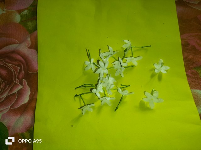 IMG20250604090636.jpg